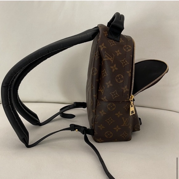 Louis Vuitton Palm Springs Backpack PM - Picture 9 of 16